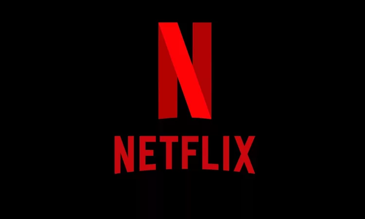 Netflix (PL)